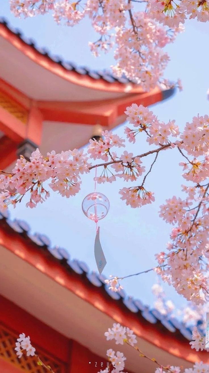 Asesoria de Feng Shui presencial